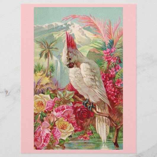 Cockatoo Pink Roses (Front)