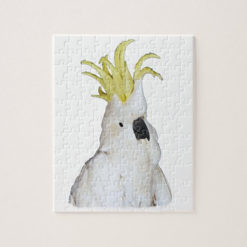 Cockatoo Puzzle