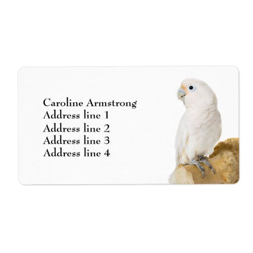 Cockatoo white parrot bird custom address labels