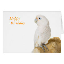 Cockatoo white parrot bird custom birthday card