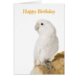 cockatoo_white_parrot_bird_custom_birthday_card-rea7af9c1266e46b5a3e7ed9c865a35a7_xvuat_8byvr_324.jpg