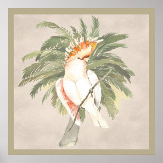 Cockatoo with Date Palm Taupe Poster