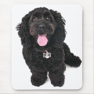 cocker poodle mix puppy looking up mouse pad