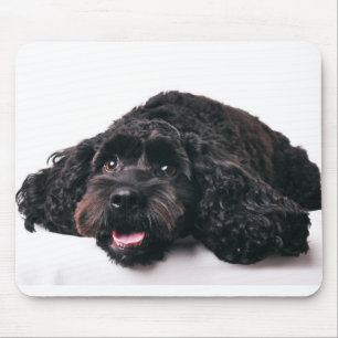 cocker poodle mix puppy mousepad