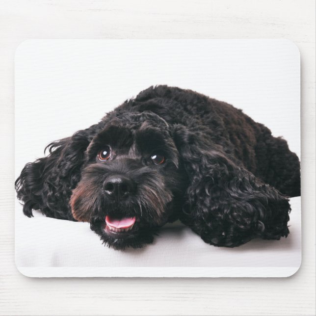 cocker poodle mix puppy  mousepad (Front)