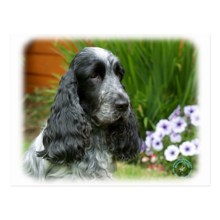 Cocker Spaniel 9W017D 139 Post Cards