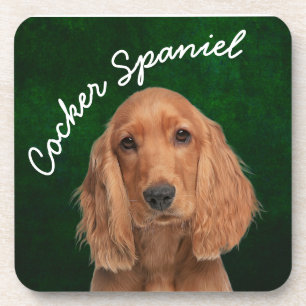 Cocker Spaniel beverage coaster