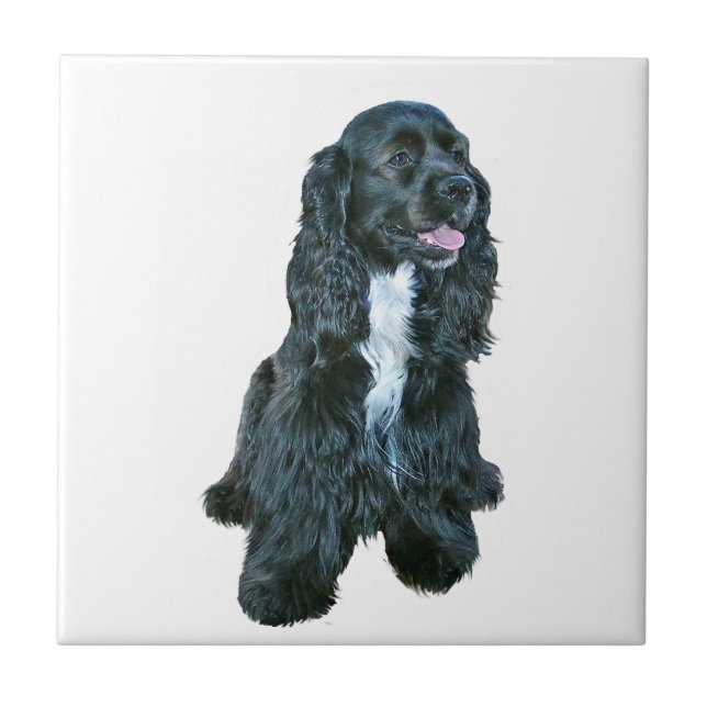 Cocker Spaniel - Black #2 Ceramic Tile (Front)