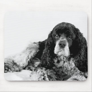 Cocker Spaniel Black and White Mouse Pad
