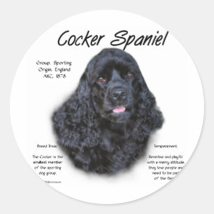 Cocker Spaniel (black) History Design Classic Round Sticker