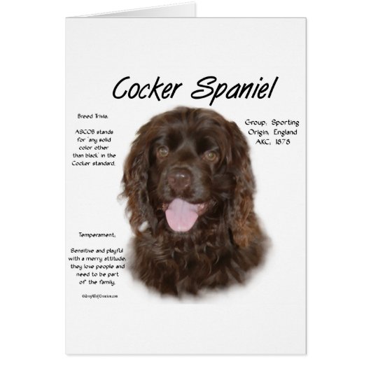 Cocker Spaniel (brn) History Design Cards (Front)