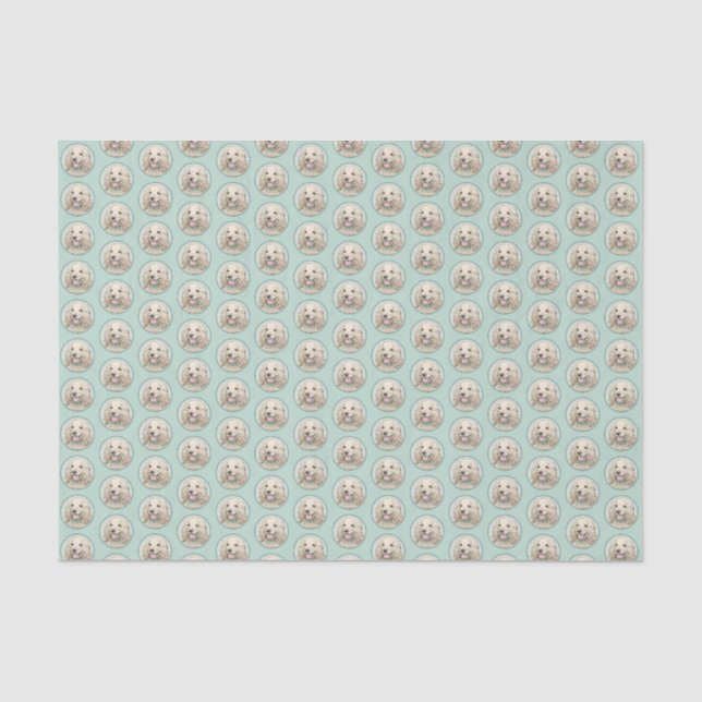 Cocker Spaniel Buff Painting - Original Dog Art Tissue Paper (Front)