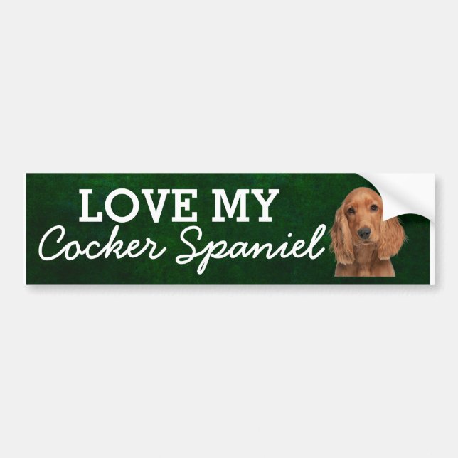 Cocker Spaniel bumper sticker (Front)