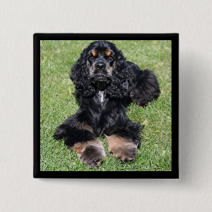 Cocker Spaniel Button