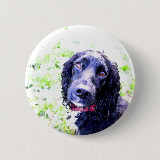 Cocker Spaniel Button (Front)