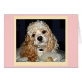 Cocker Spaniel Card (Front Horizontal)