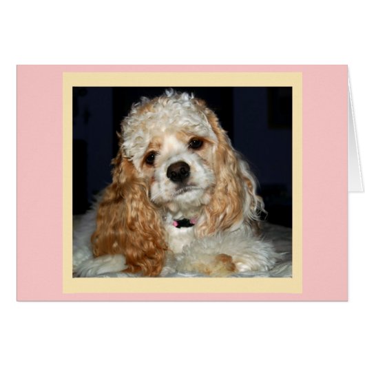 Cocker Spaniel Card (Front Horizontal)