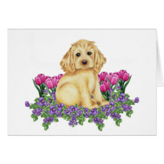 Cocker Spaniel Cards