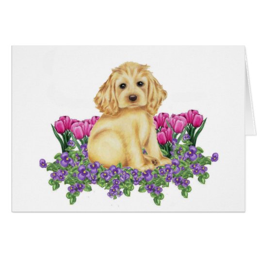 Cocker Spaniel Cards (Front Horizontal)