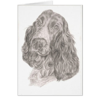 Cocker Spaniel Cards