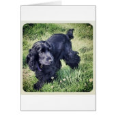 Cocker Spaniel Cards (Front)