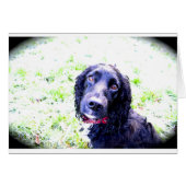 Cocker Spaniel Cards (Front Horizontal)