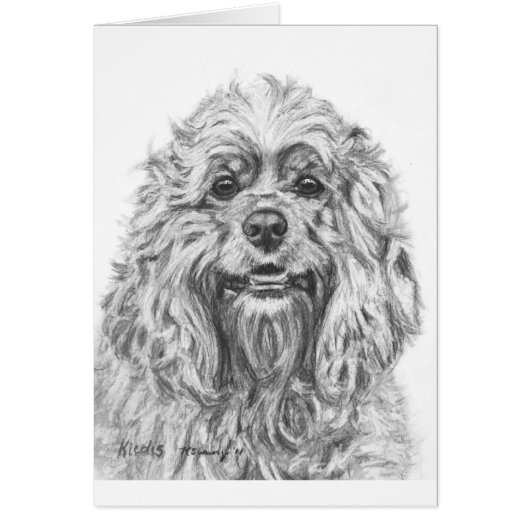 Cocker Spaniel Charcoal Drawing Cards (Front)