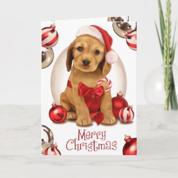 Cocker Spaniel Christmas Holiday Card by MarylineCazenave at Zazzle