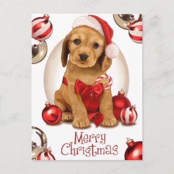 Cocker Spaniel Christmas Holiday Postcard by MarylineCazenave at Zazzle