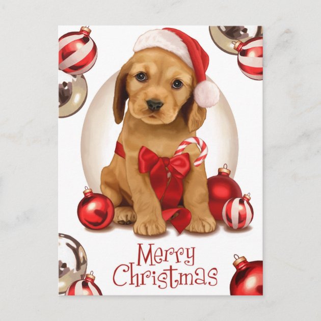 Weihnachtskarte Cocker Spaniel - 145x145 Mm, 350 G/m², Recycelt, Mit Umschlag