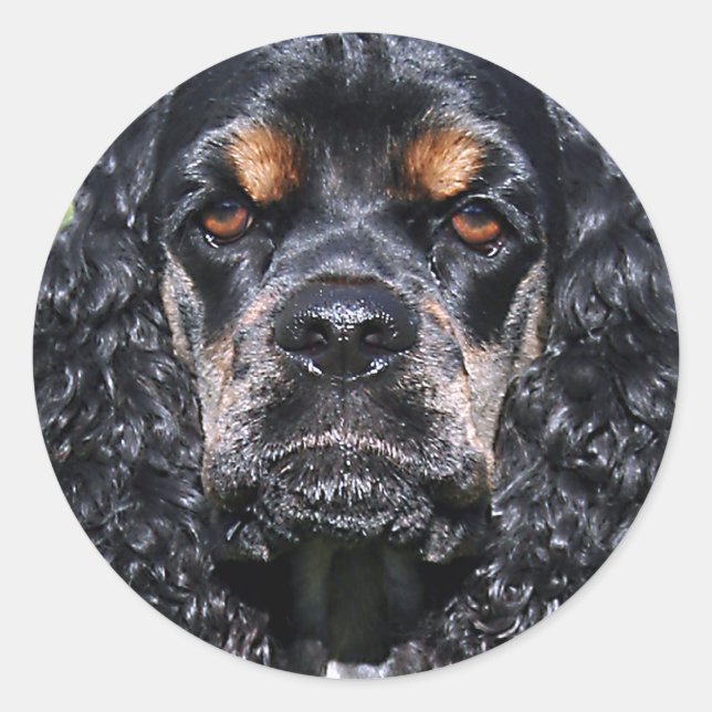 Cocker Spaniel Classic Round Sticker (Front)