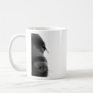 Cocker Spaniel Coffee Mug