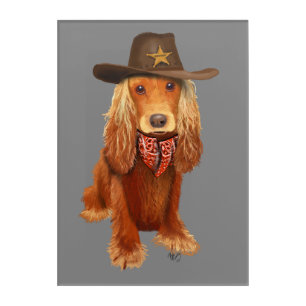 Cocker Spaniel Cowboy Acrylic Print