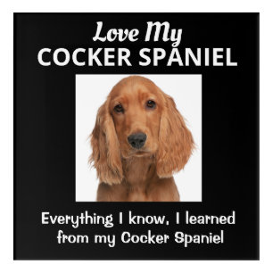 Cocker Spaniel Custom Acrylic Print