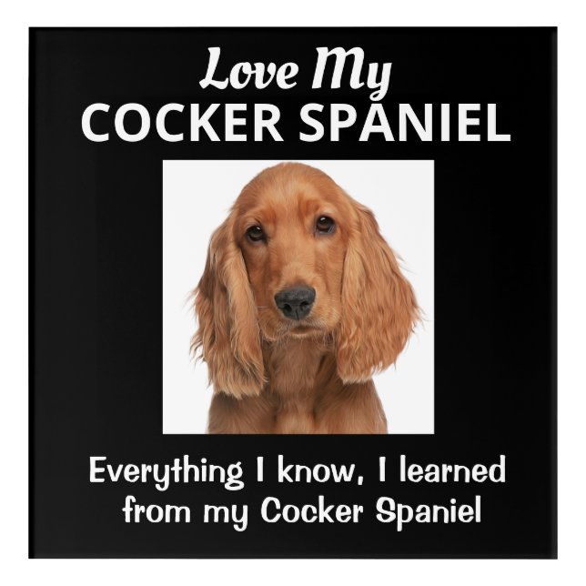 Cocker Spaniel Custom Acrylic Print (Front)