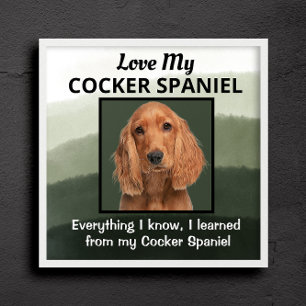 Cocker Spaniel Custom  Acrylic Print