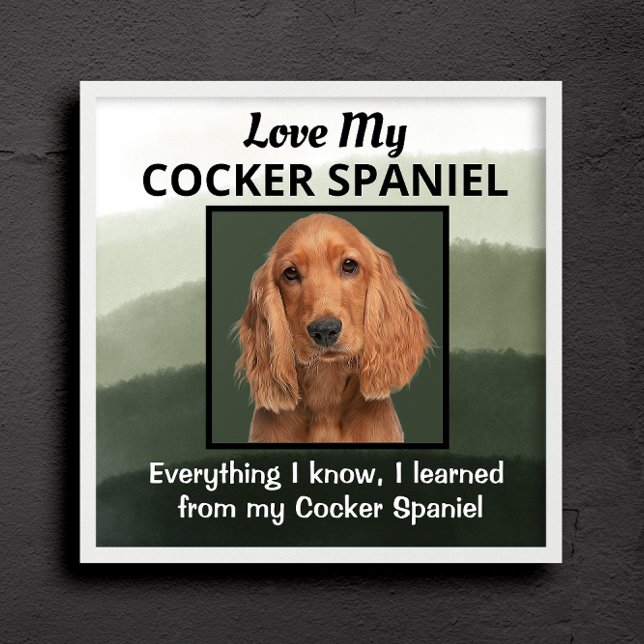 Cocker Spaniel Custom  Acrylic Print (Creator Uploaded)