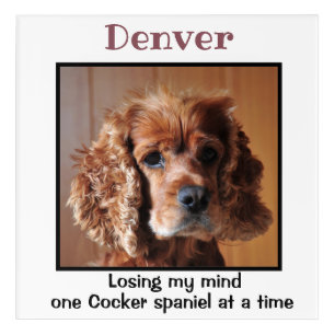 Cocker Spaniel Custom Wall Art