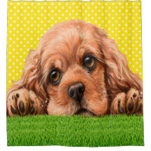 Cocker Spaniel Cutie Shower Curtain