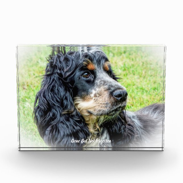 Cocker Spaniel Dog. Acrylic Award (Front)