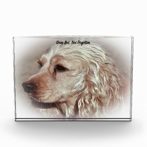 Cocker Spaniel Dog Acrylic Award