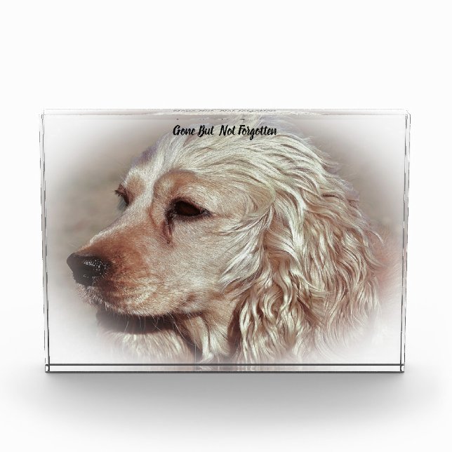 Cocker Spaniel Dog. Acrylic Award (Front)