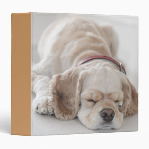 Cocker spaniel dog sleeping 3 ring binder