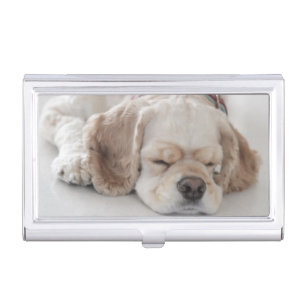 Cocker spaniel dog sleeping business card holder