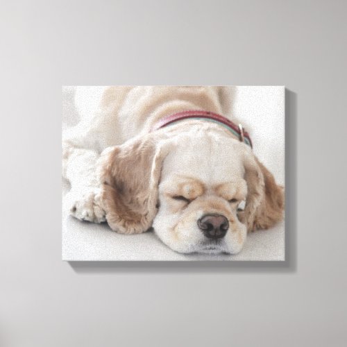 Cocker spaniel dog sleeping canvas print