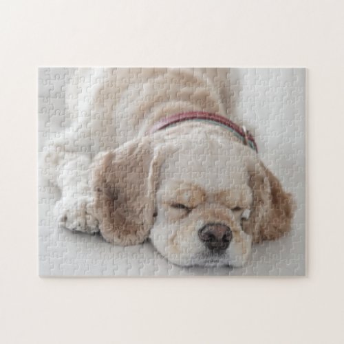 Cocker spaniel dog sleeping jigsaw puzzle