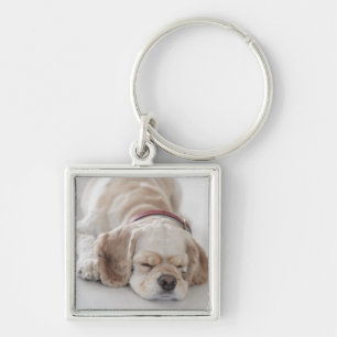 Cocker spaniel dog sleeping keychain