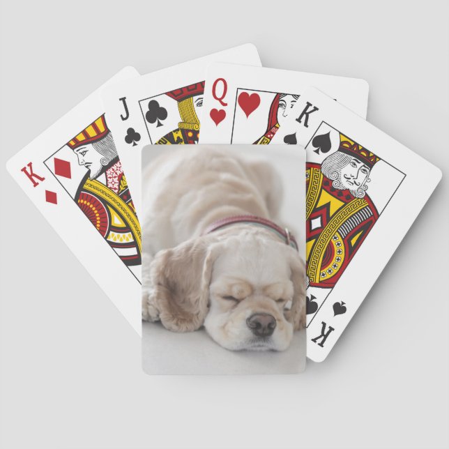Cocker spaniel dog sleeping poker cards (Back)