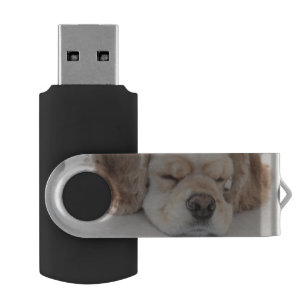 Cocker spaniel dog sleeping USB flash drive