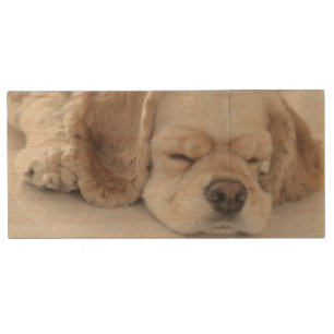 Cocker spaniel dog sleeping wood flash drive